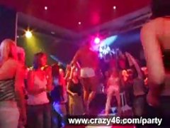 Sex filme gratis wilde hardcore-sex-party