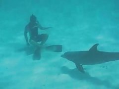 Sswimmig deutsche gratis pornofilme mit einem verspielten dlophin