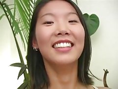 Freche Vogel kehrt zurück